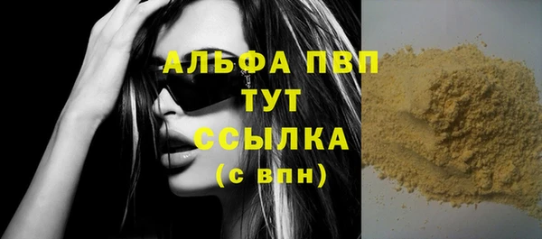 хмурый Алзамай
